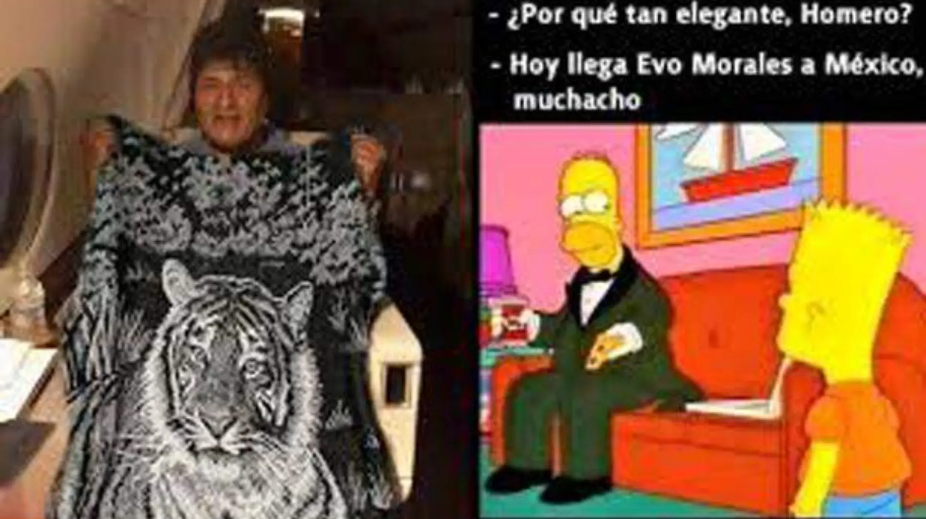 memes evo morales (1)